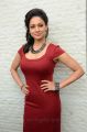 Uttama Villain Actress Pooja Kumar Hot Red Dress Pictures
