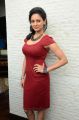 Tamil Actress Pooja Kumar Hot Pictures in Red Dress