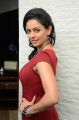 Tamil Actress Pooja Kumar in Red Dress Hot Pictures