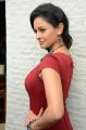 Tamil Actress Pooja Kumar Hot in Red Dress Pictures