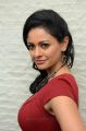 Uttama Villain Actress Pooja Kumar Hot Red Dress Pictures