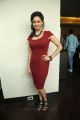 Tamil Actress Pooja Kumar Hot in Red Dress Pictures