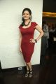 Tamil Actress Pooja Kumar in Red Dress Hot Pictures