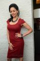 Tamil Actress Pooja Kumar in Red Dress Hot Pictures