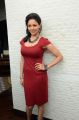 Tamil Actress Pooja Kumar Hot in Red Dress Pictures