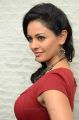 Tamil Actress Pooja Kumar Hot Pictures in Red Dress