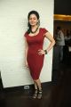 Tamil Actress Pooja Kumar Hot in Red Dress Pictures