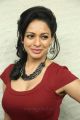 Tamil Actress Pooja Kumar in Red Dress Hot Pictures