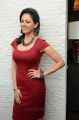 Tamil Actress Pooja Kumar Hot Pictures in Red Dress