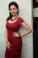 Tamil Actress Pooja Kumar Hot Pictures in Red Dress