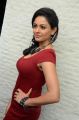 Uttama Villain Actress Pooja Kumar Hot Red Dress Pictures