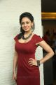 Tamil Actress Pooja Kumar in Red Dress Hot Pictures