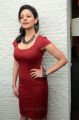 Tamil Actress Pooja Kumar in Red Dress Hot Pictures