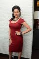 Tamil Actress Pooja Kumar Hot Pictures in Red Dress