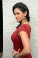 Tamil Actress Pooja Kumar in Red Dress Hot Pictures