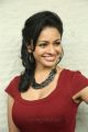 Tamil Actress Pooja Kumar in Red Dress Hot Pictures