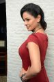 Tamil Actress Pooja Kumar in Red Dress Hot Pictures