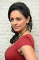 Tamil Actress Pooja Kumar Hot Pictures in Red Dress