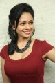 Uttama Villain Actress Pooja Kumar Hot Red Dress Pictures