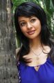 Tamil Actress Pooja Kumar Photos