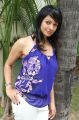 Pooja Kumar Actress Photos in Blue Sleeveless Top