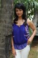 Pooja Kumar Actress Photos in Blue Sleeveless Top