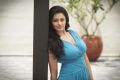 Actress Pooja Kumar Portfolio Hot Photoshoot Images HD