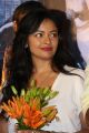 Actress Pooja Kumar New Stills @ PSV Garuda Vega Trailer Launch