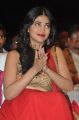 Actress Shruti Hassan @ Pooja Movie Audio Launch Stills