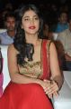 Actress Shruti Hassan @ Pooja Movie Audio Launch Stills