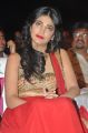 Actress Shruti Hassan @ Pooja Movie Audio Launch Stills