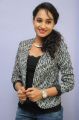 Pooja Ramachandran New Stills @ Adavi Kachina Vennela Audio Launch
