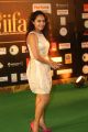 Pooja Ramachandran @ @ IIFA Utsavam Awards 2016 Green Carpet