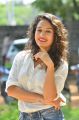 Actress Pooja Ramachandran Pictures @ LAW Trailer Launch