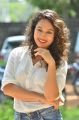 Actress Pooja Ramachandran Pictures @ Love And War Trailer Launch