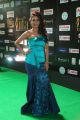 Actress Pooja Sree Images @ International Indian Film Academy Awards (IIFA) Utsavam 2017