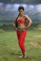Actress Shruti Haasan in Poojai Movie Hot Song Stills