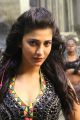 Actress Shruti Haasan in Poojai Movie Hot Stills