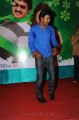 Actor Sunil at Poola Rangadu Audio Release Pictures