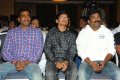 Poola Rangadu Audio Release Pictures