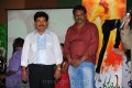 Poola Rangadu Audio Release Pictures