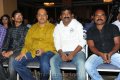 Poola Rangadu Audio Release Pictures