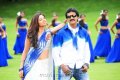 Sunil Isha Chawla in Poola Rangadu Song Stills