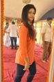 Poonam Bajwa New Images at H Production Pro.No.6 Movie Opening