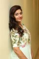 Actress Poonam Bajwa HD Photos @ Sutraa Lifestyle Fashion Dussehra Exhibition Launch