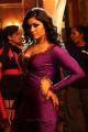 Aranmanai 2 Movie Heroine Poonam Bajwa Hot Pics