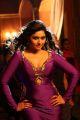 Actress Poonam Bajwa Hot Images in Kalavathi Movie
