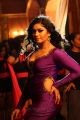 Aranmanai 2 Movie Actress Poonam Bajwa Hot Images