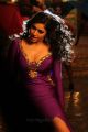 Kalavathi Actress Poonam Bajwa Hot Images