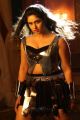 Aranmanai 2 Movie Actress Poonam Bajwa Hot Images